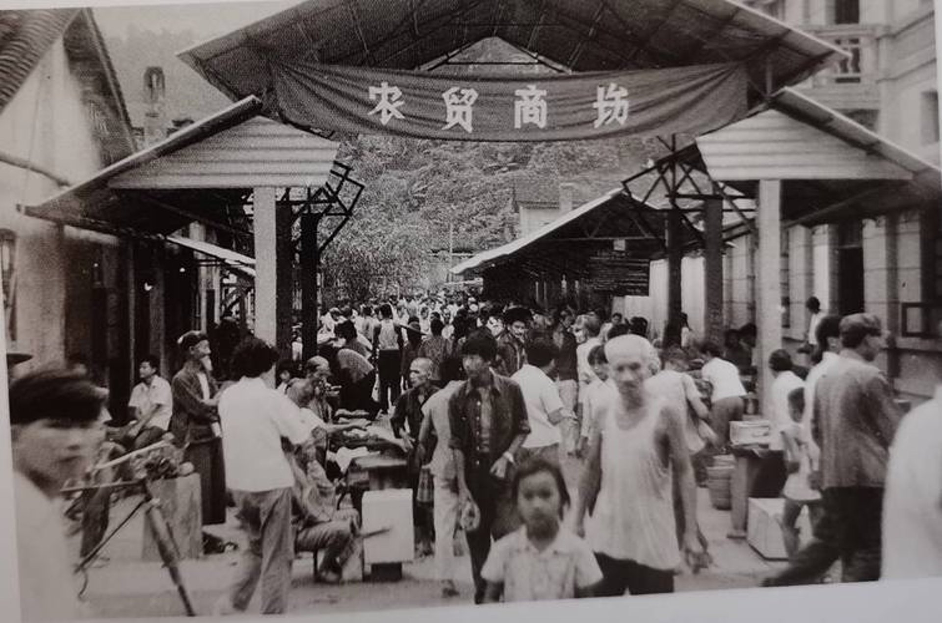 要康国际贸易